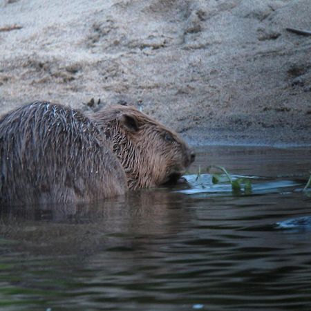 Camping Chantemerle Bédouès Zewnętrze zdjęcie
